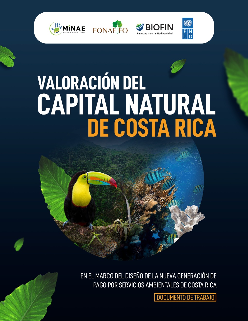 VALUATION OF THE NATURAL CAPITAL OF COSTA RICA IN THE FRAMEWORK OF THE NEW PAYMENT FOR COSTA RICA ENVIRONMENTAL  SERVICES