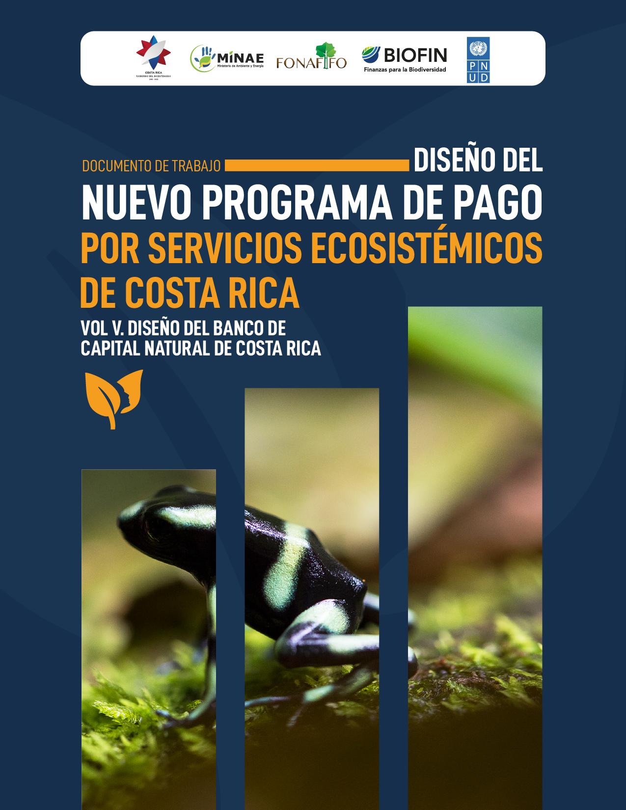 Documento de trabajo: Diseño del nuevo programa de pago por servicios ecosistémicos. VOL V: Diseño del banco de capital natural de Costa Rica