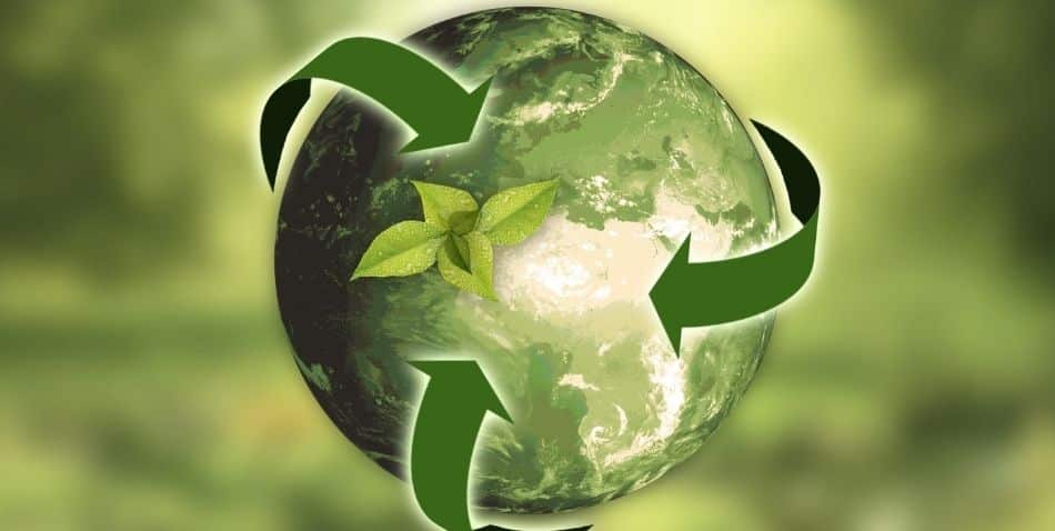 Bioeconomía circular: cómo convertir residuos en oportunidades financieras