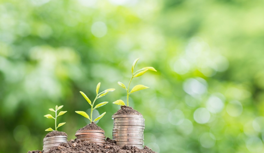 ¿Qué es la biofinanza y por qué será clave para el futuro de la economía verde?