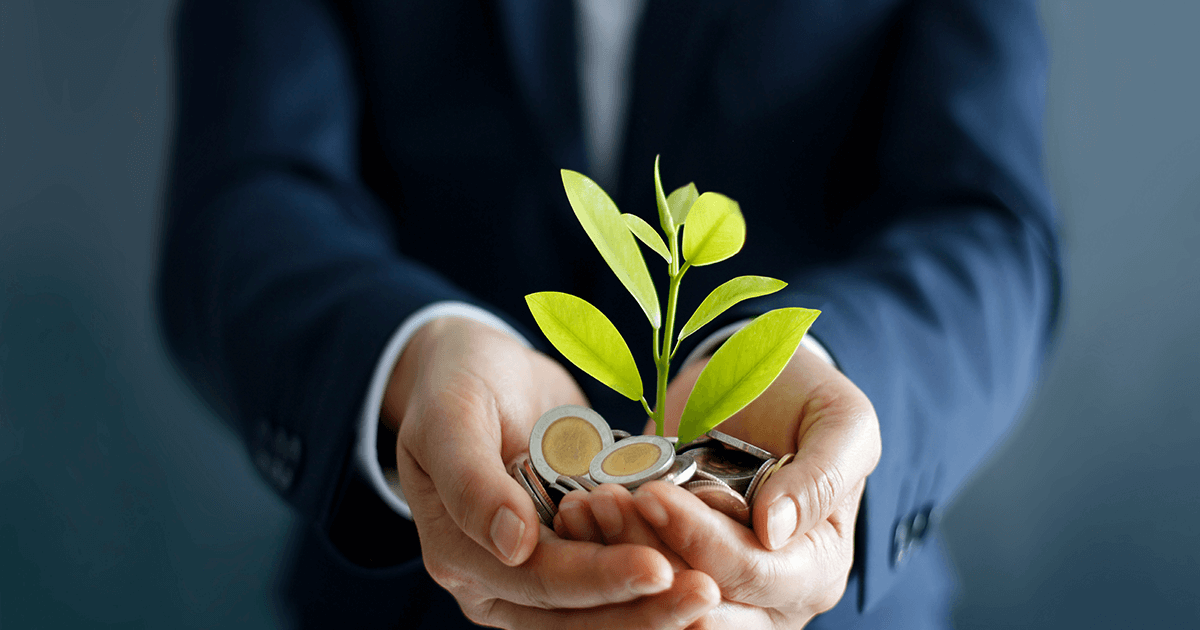 Cómo las finanzas verdes impulsan proyectos de conservación y biodiversidad