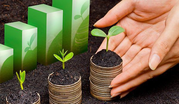 Finanzas verdes vs finanzas tradicionales: diferencias clave