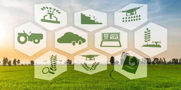 ¿Qué es la biofinanza y por qué está transformando la economía global?